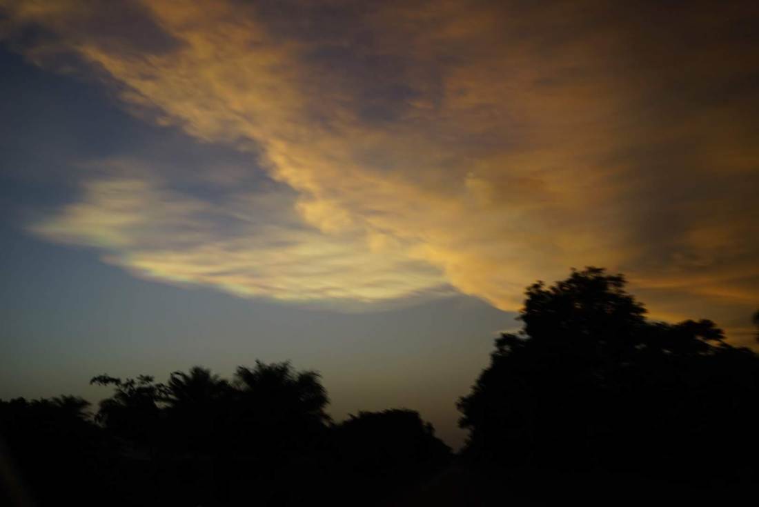 dsc5975